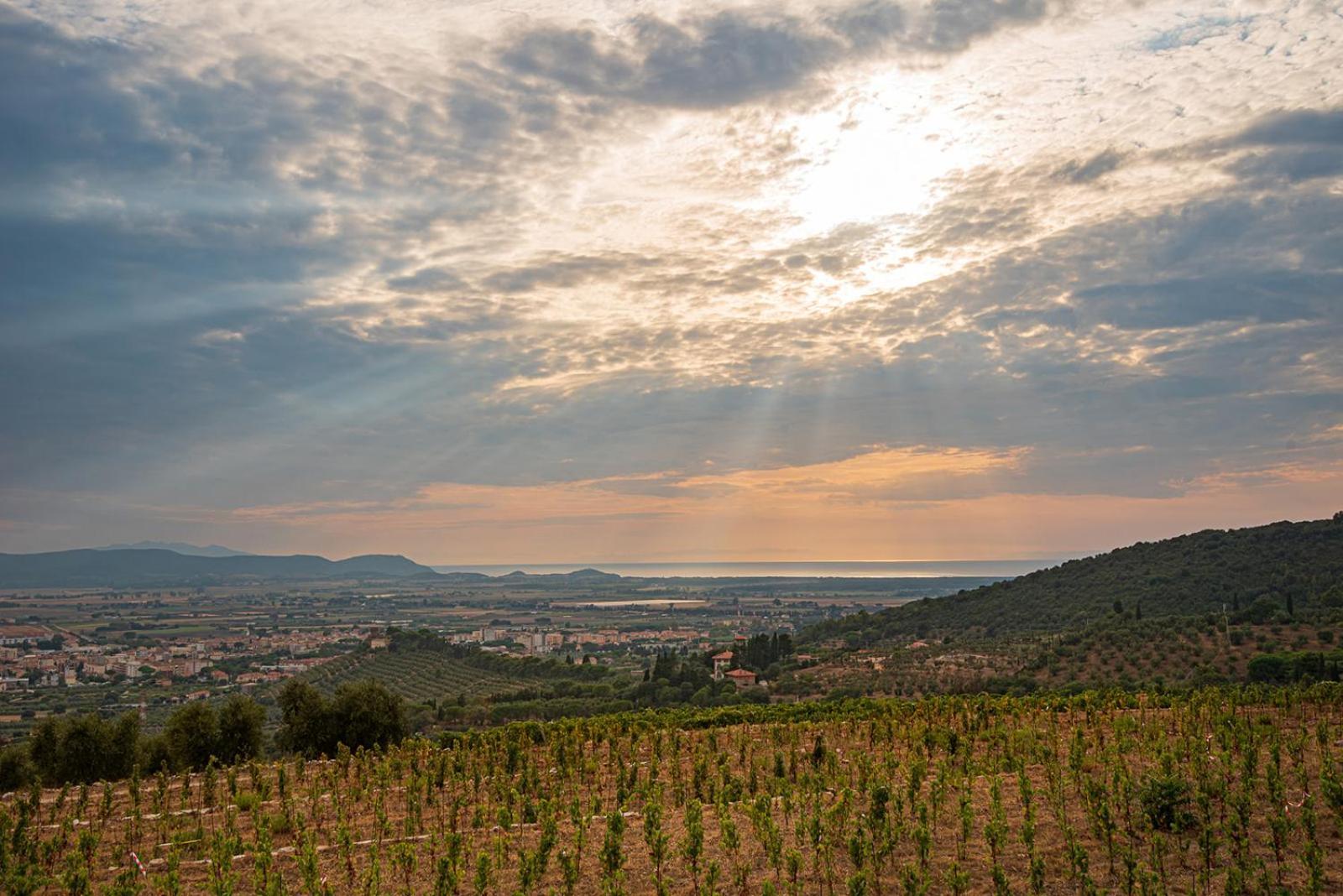 Castello Bonaria Wine & Spa Resort Campiglia Marittima Eksteriør billede
